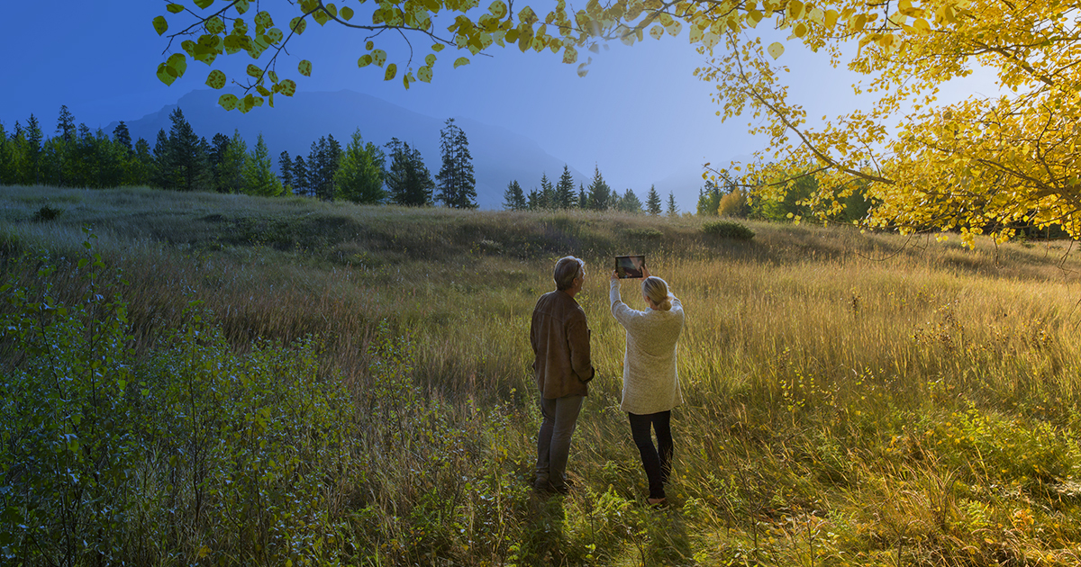 Best Places to View the Fall Foliage in Colorado